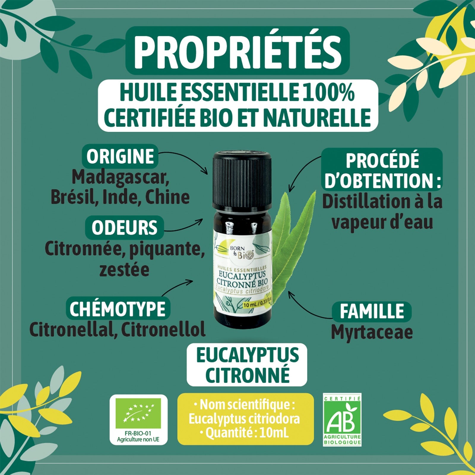 Organic Lemon Eucalyptus essential oil-1